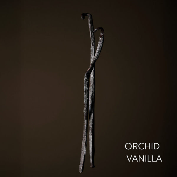 Orchid Vanilla