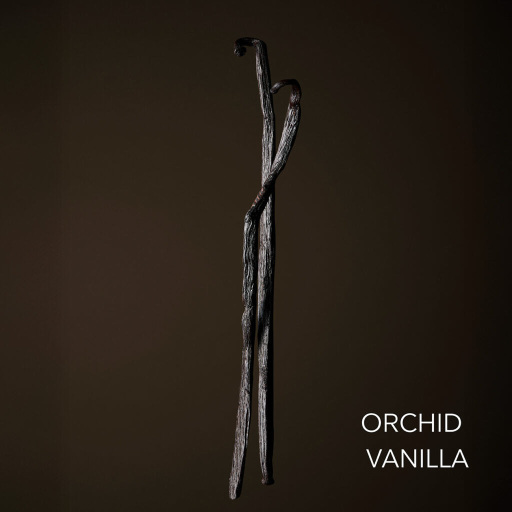 Orchid Vanilla