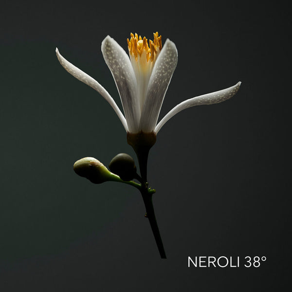 Neroli 38°