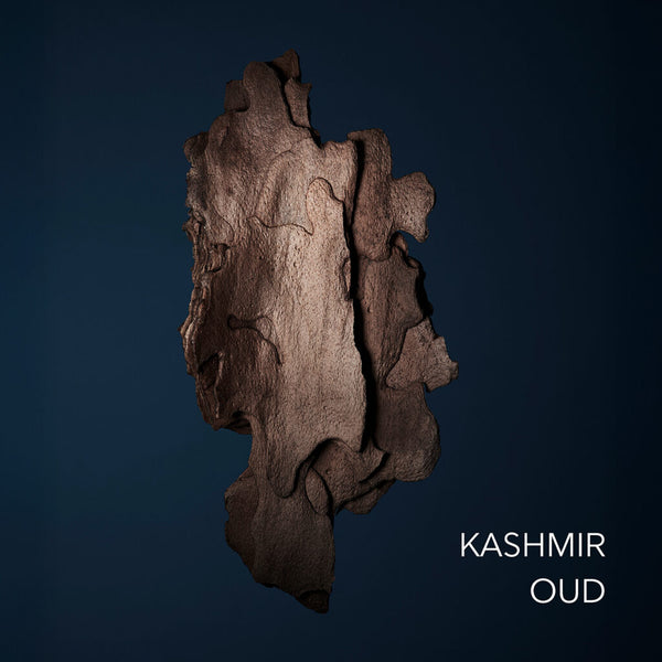 Kashmir Oud