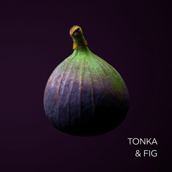 Tonka & Fig