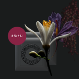 HIDE – All Inklusive Abo